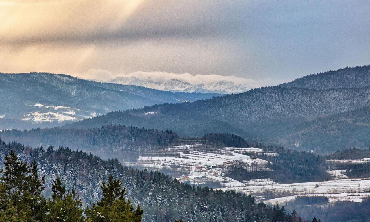 Sloneczny Chelm - Apartamenty W Gorach, Prywatna Sauna Jacuzzi Balia W Cenie, Spa, Grill, Stok Narciarski Myslenice, Sciezki Rowerowe, Rzeka Raba, Widok Na Tatry Esterno foto