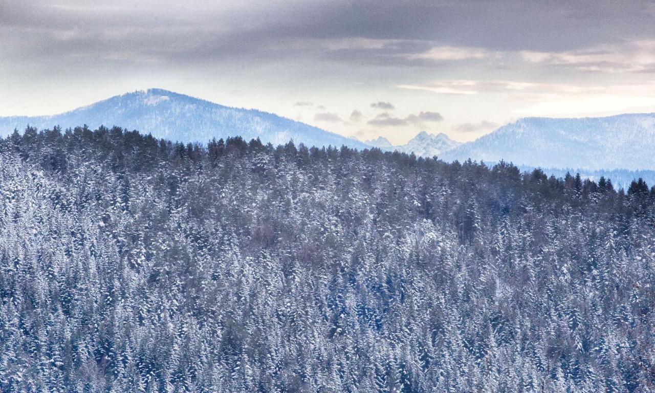 Sloneczny Chelm - Apartamenty W Gorach, Prywatna Sauna Jacuzzi Balia W Cenie, Spa, Grill, Stok Narciarski Myslenice, Sciezki Rowerowe, Rzeka Raba, Widok Na Tatry Esterno foto