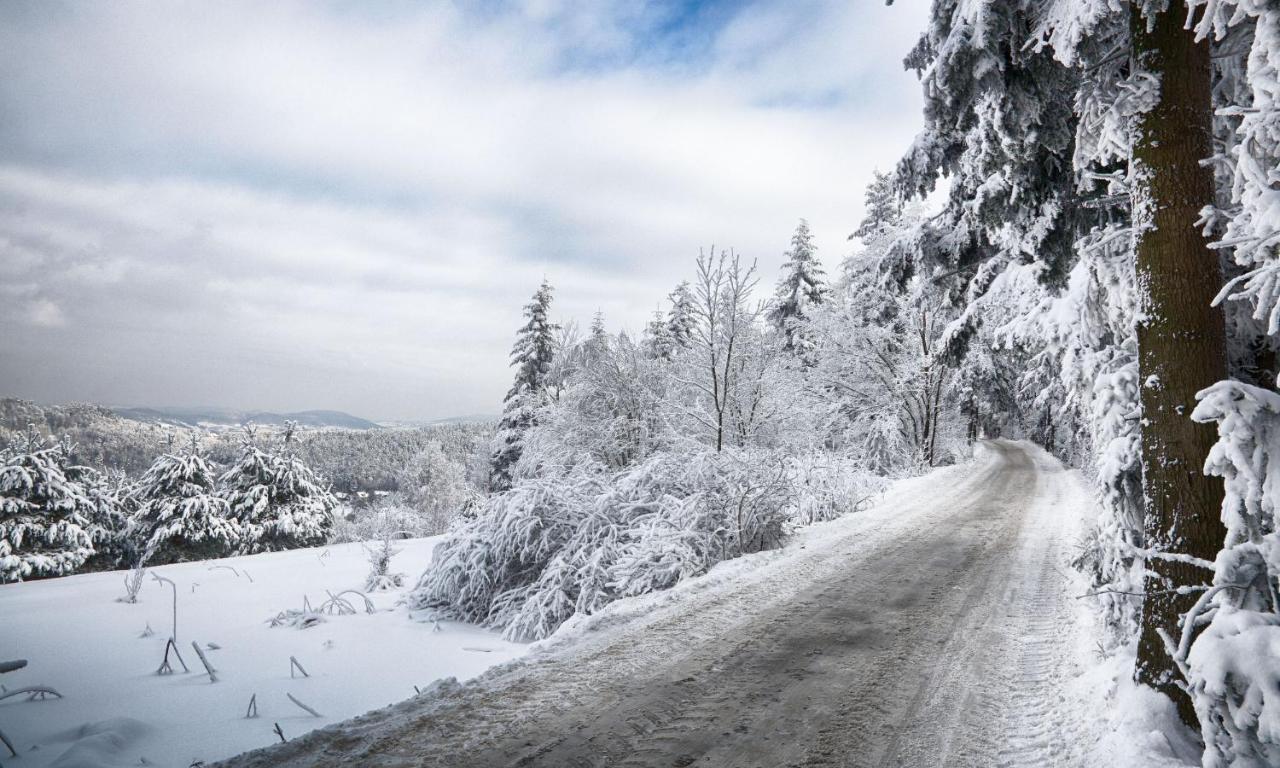 Sloneczny Chelm - Apartamenty W Gorach, Prywatna Sauna Jacuzzi Balia W Cenie, Spa, Grill, Stok Narciarski Myslenice, Sciezki Rowerowe, Rzeka Raba, Widok Na Tatry Esterno foto