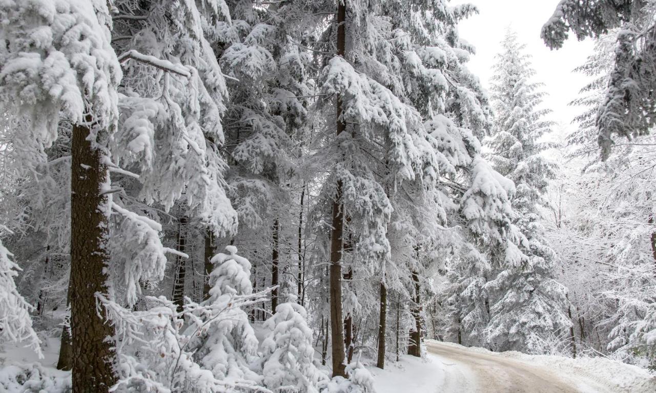 Sloneczny Chelm - Apartamenty W Gorach, Prywatna Sauna Jacuzzi Balia W Cenie, Spa, Grill, Stok Narciarski Myslenice, Sciezki Rowerowe, Rzeka Raba, Widok Na Tatry Esterno foto