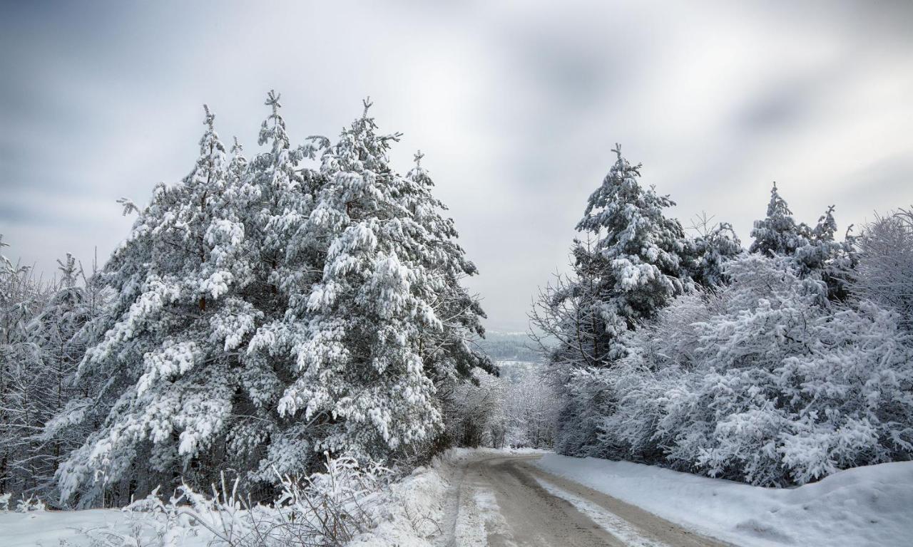 Sloneczny Chelm - Apartamenty W Gorach, Prywatna Sauna Jacuzzi Balia W Cenie, Spa, Grill, Stok Narciarski Myslenice, Sciezki Rowerowe, Rzeka Raba, Widok Na Tatry Esterno foto