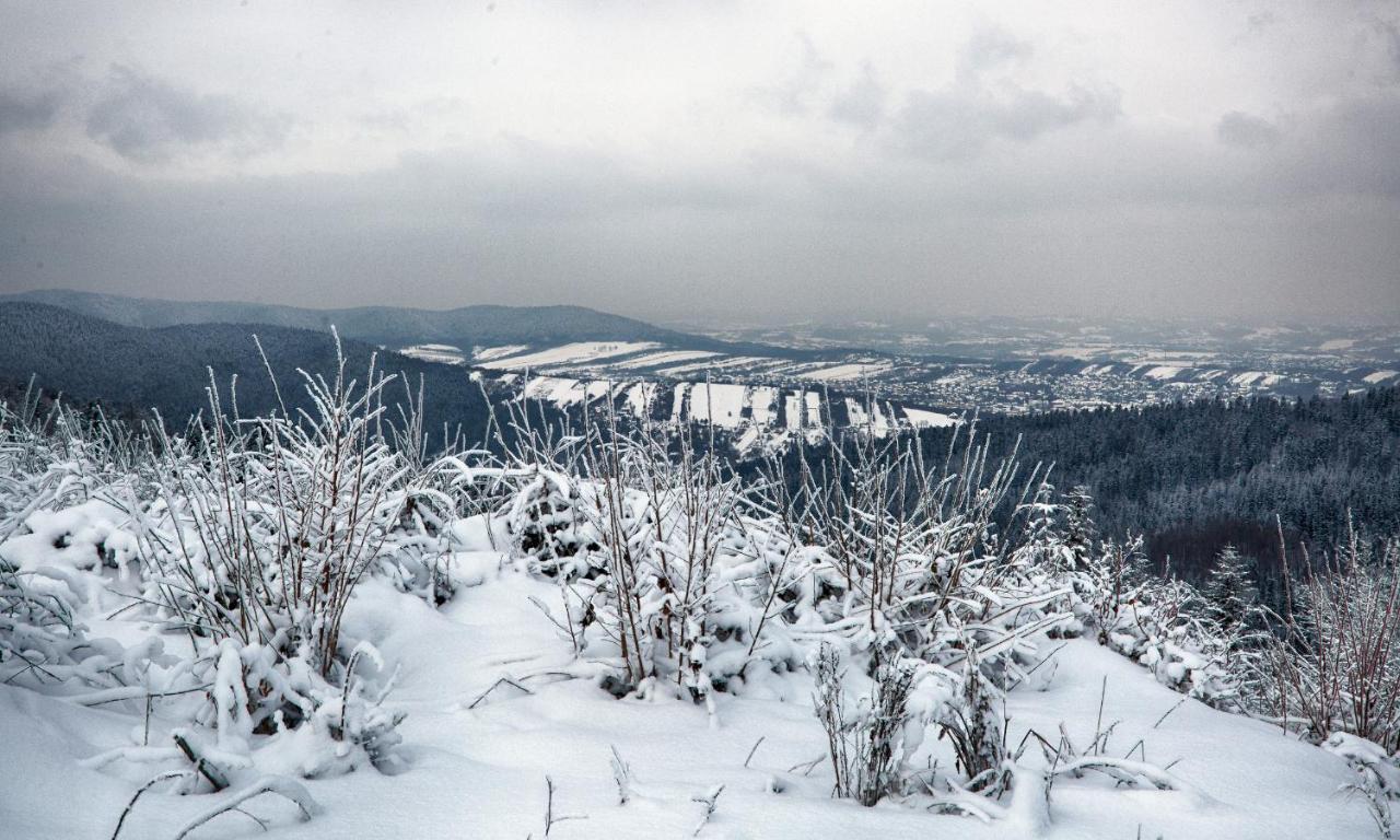 Sloneczny Chelm - Apartamenty W Gorach, Prywatna Sauna Jacuzzi Balia W Cenie, Spa, Grill, Stok Narciarski Myslenice, Sciezki Rowerowe, Rzeka Raba, Widok Na Tatry Esterno foto